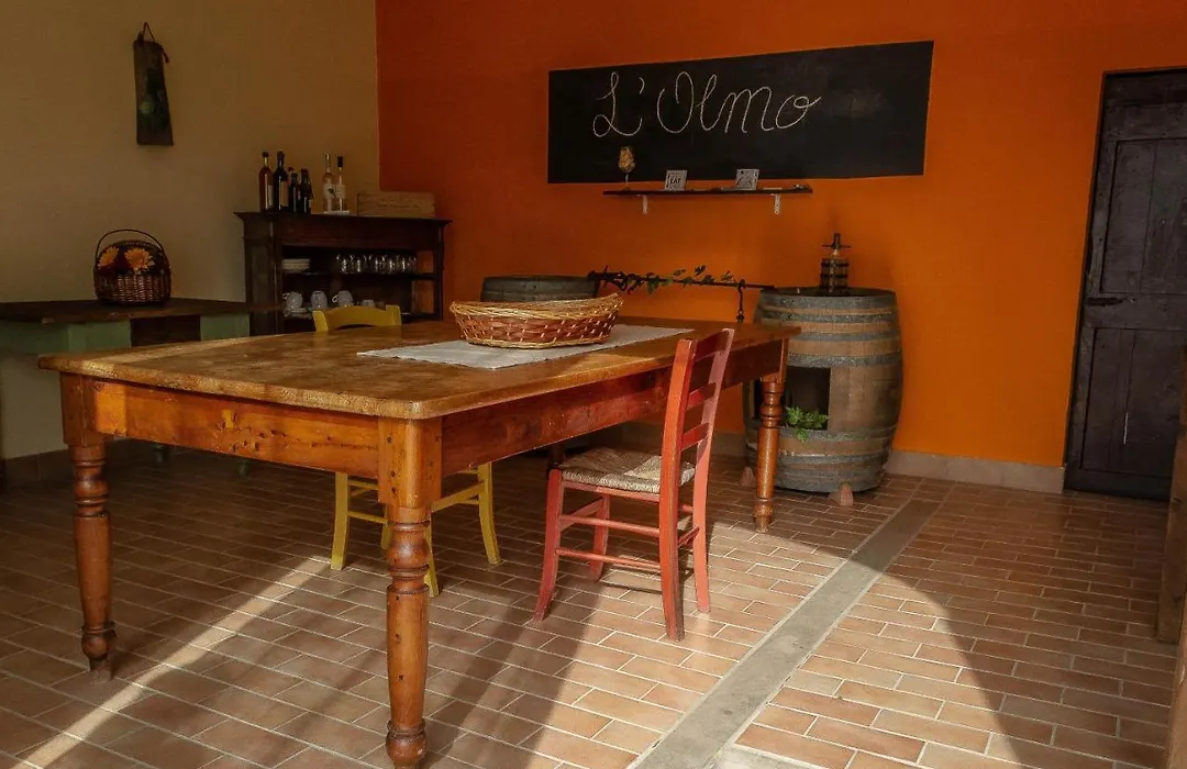Agriturismo L'Olmo-1